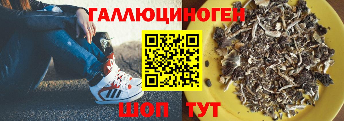 Псилоцибиновые грибы GOLDEN TEACHER Электросталь